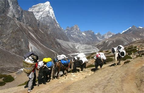 Cost Of Climbing Mount Everest 2021 Full Breakdown