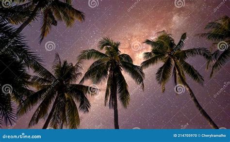 A Tropical Night Sky With Palm Trees And The Milky Way Stock Photo