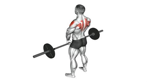 Highly Effective Upright Row Alternatives With Pictures Inspire Us