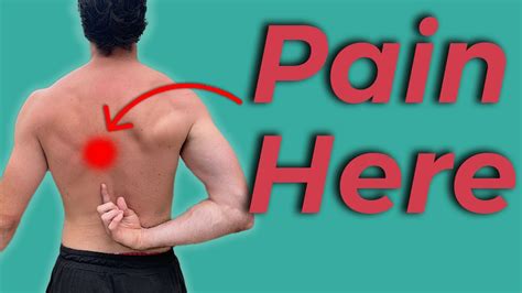 Mid Back Pain Exercises For Relief And Strength Beginner To Advanced