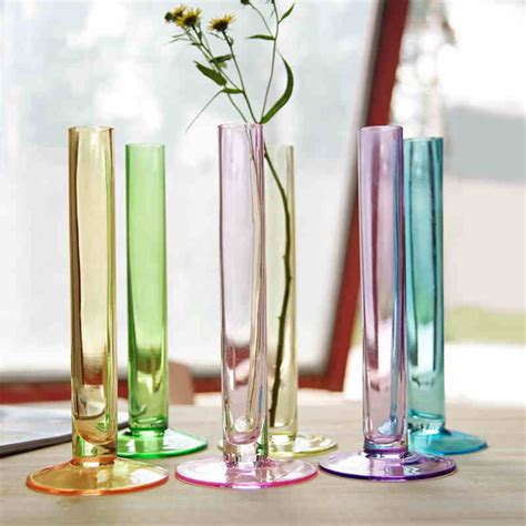 Modern Contracted Clear Glass Vase Colorful Flower Plant Tabletop Glass Vase Hydroponic Office