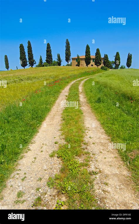 Val D´orcia Orcia Valley Farm With Cypress Trees Fields And