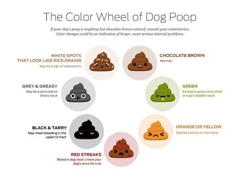 Light Colored Diarrhea In Dogs