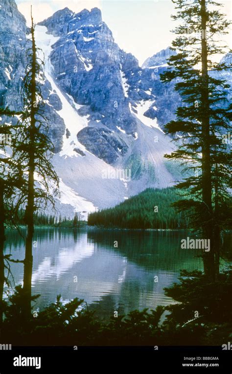 Canada Canadian Rockies Mountain Lake Moraine Tree Nature Natural Water