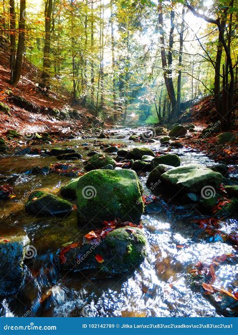 Beautiful Autumnal Photography Of Mountains Stream In Forest Stock