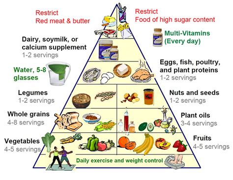 The New Food Pyramid | Satu Nutrition | Your trusted online nutritional