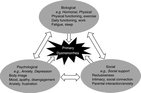Conceptual Model Of The Biopsychosocial Framework As Applied In The Download Scientific Diagram