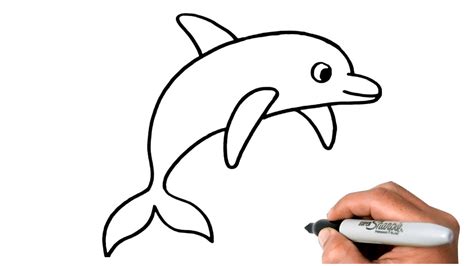 How To Draw Dolphin Easy Step By Step Youtube