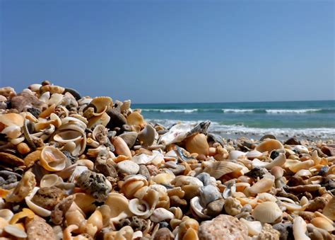 Blind Creek Beach A Hidden Gem On Florida S Coast Travelistia