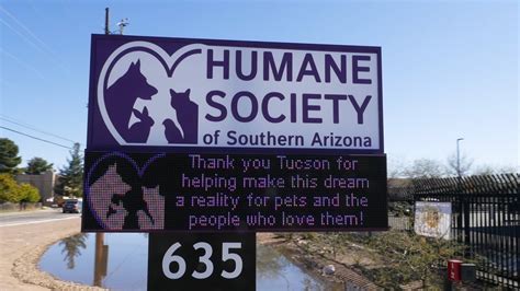 southern arizona humane society jobs chirpdesigns