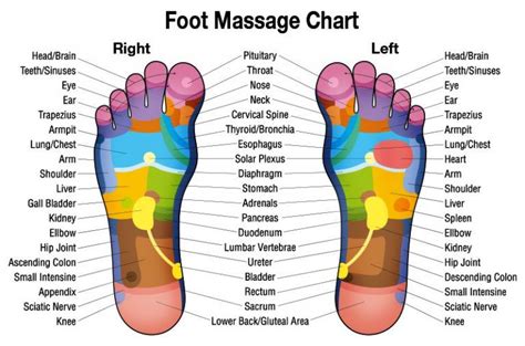 Foot Massage Chart Diagram Reflexology Foot Chart Reflexology Chart Foot Reflexology