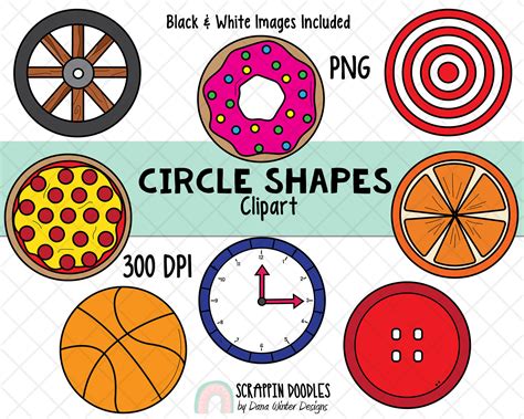 Shapes Clip Art Real Life Circle Shape Clipart Geometric Etsy Australia