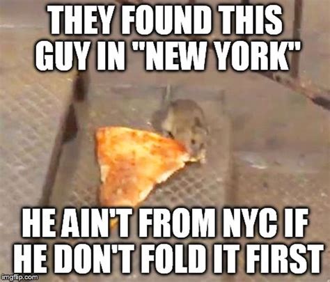 15 hilariously accurate memes about new york