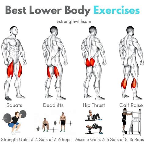 Best Lower Body Exercises Quadriceps Squats Back Or Front Hamstrings