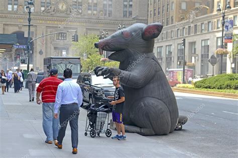 Inflatable Rat Known As Scabby The Rat Used By A Labor Union Stock