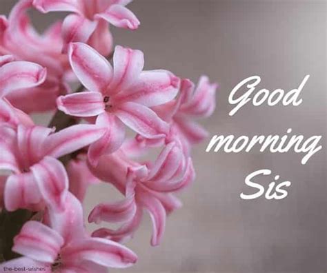 120 Lovely Good Morning Wishes And Greetings For Sister Good Morning