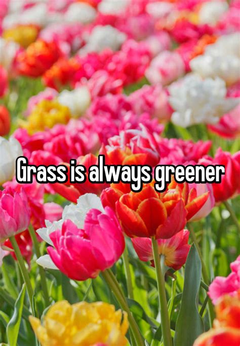 Grass Is Always Greener