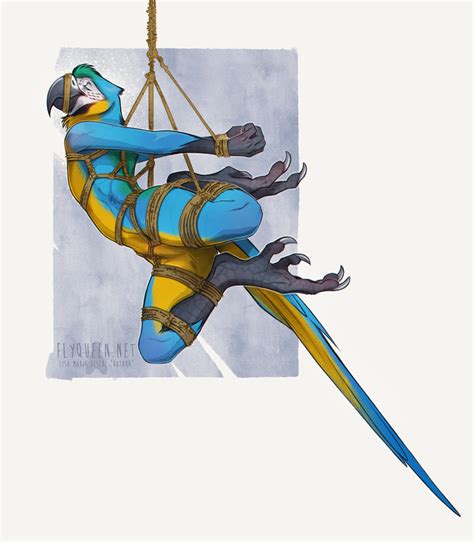 Shibari Macaw Blue By Flyqueen On Deviantart