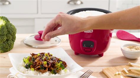 Dash 2 Cup Mini Rice Cooker With 14 Recipes Youtube