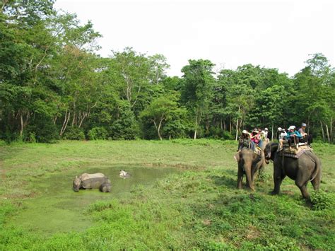 Nepal Jungle Tours And Wildlife Safari Tour Packages Chitwan National