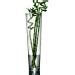Very Large Clear Glass Tall Floor Standing Vase Large Glass Flower Vase