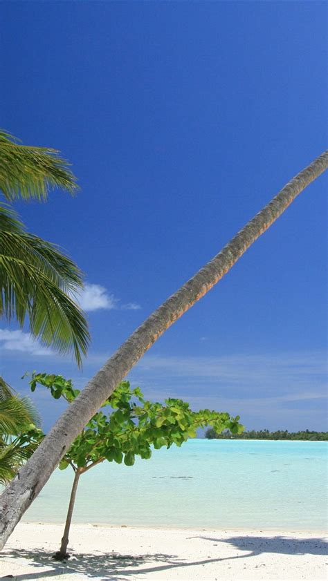 Maldives Palm Trees Beach Sea 1125x2436 Iphone 11 Proxsx Wallpaper