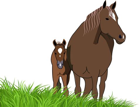 Horse Clipart Foal Horse Foal Transparent Free For Download On