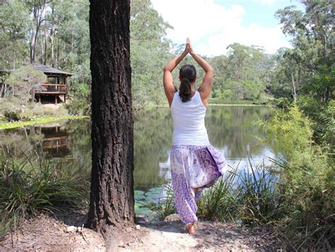 What Is Yoga By Paul Von Bergen Billabong Retreat Sydney