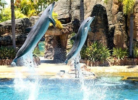We are the gold coast theme parks where you can find out about the latest attractions and park news. 7 Ways to Relax on the Gold Coast - Theme Park Capital of ...