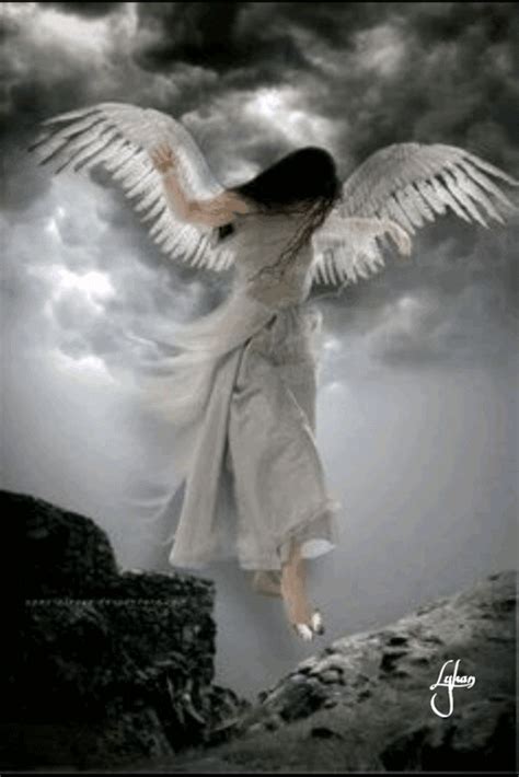 Ayobalimi Anjos E Demônios Anjos Arte Com Fadas