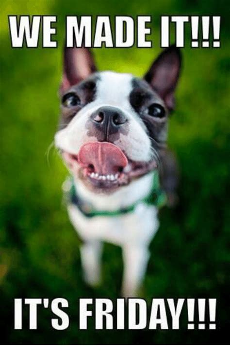 Dogs are amazing | animal friday. 34 Very Funny Friday Meme That Definitely Make You Smile ...
