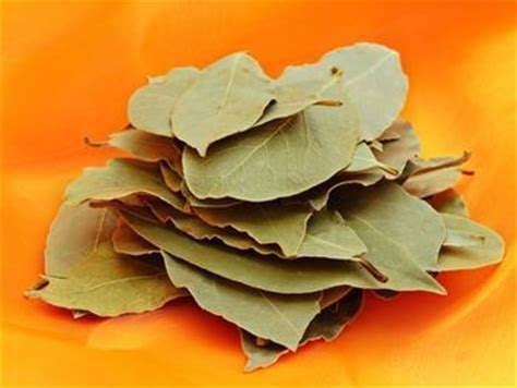 They are most often used in rice dishes like biryani and as by leaf and curry leaf are both different. Bay Leaf - Nutrition, Health Benefits, Uses, Substitute ...