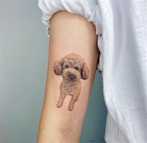 19 Of The Best Poodle Tattoo Ideas Ever The Dogman Poodle Tattoo