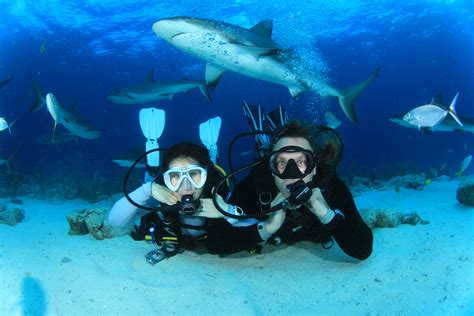 See more ideas about underwater wedding, underwater, wedding. Underwater Wedding: Travelling Monkeys, Marriage and ...