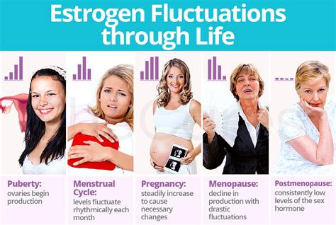 Estrogen Fluctuations Through Life Shecares