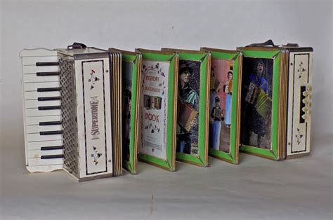 Real Accordion Book By Peter Thomas
