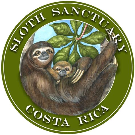 Sloth Sanctuary In Costa Rica Sloth Costa Rica Costa Rica Sloth