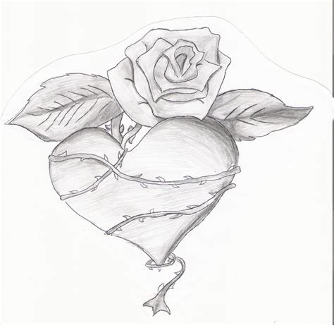 Pencil Drawings Of Hearts And Roses Pencildrawing2019