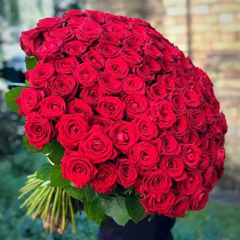 Bouquet Of 150 Red Roses