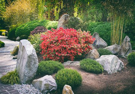 Best Bamboo Plants For Japanese Zen Gardens Lewis Bamboo