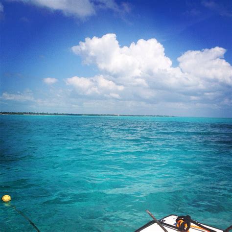 Fishing And Snorkeling In Ambergris Caye Belize Belize Ambergris