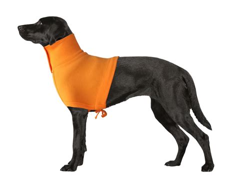Neck And Upper Body Wound Protection For Dogs