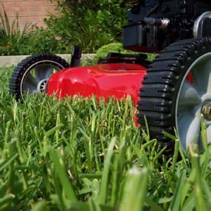 Preparing a commercial lawn mower for spring, 2019. Grass Mowing - Lawn Maintenance Schedule - Your Gardening Info