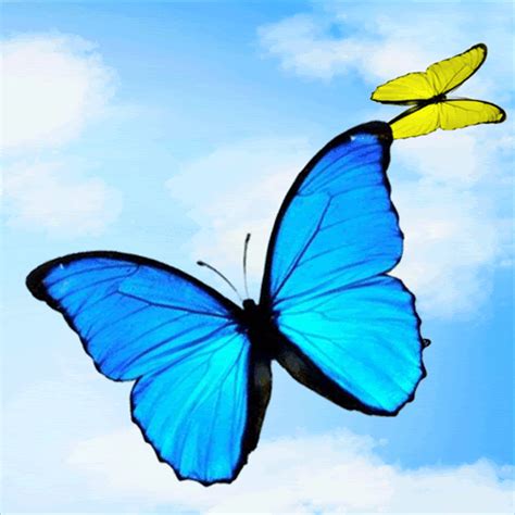 Butterflies Flying Gif Goodbye