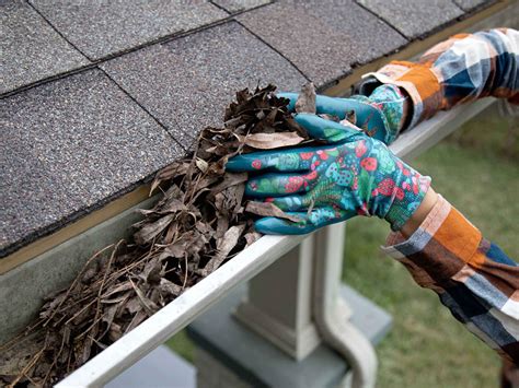 The Essential Guide To Gutter Cleaning Why It Matters Premier Gutter