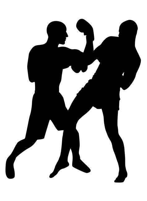 Martial Arts Silhouette Punch