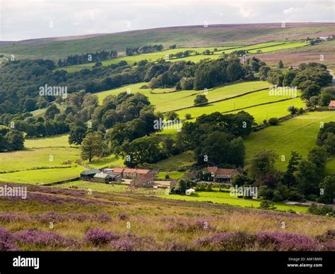 Farm Moor Field Heather Countryside Hi Res Stock Photography And Images