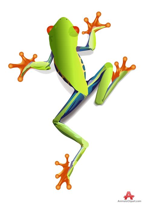 Red Eyed Tree Frog Clipart Clip Art Library