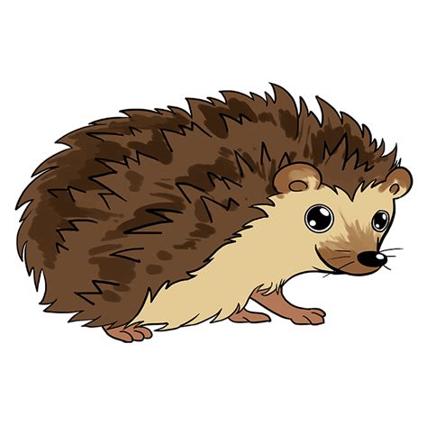 How To Draw A Hedgehog Really Easy Drawing Tutorial Hedgehog