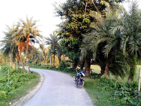 354 Bangladesh Village Road Photos Free And Royalty Free Stock Photos